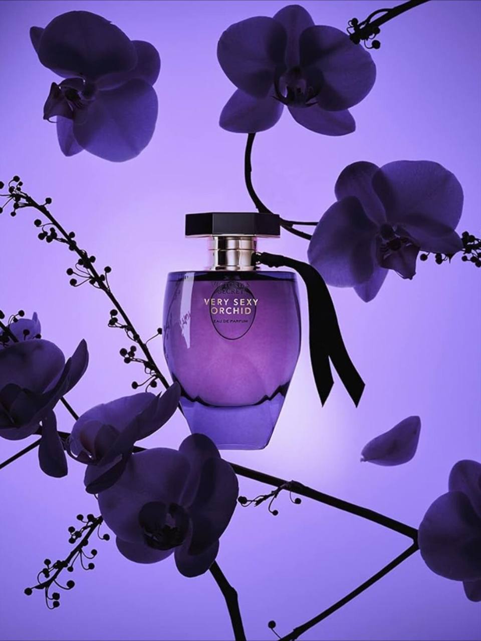 VERY SEXY ORCHID