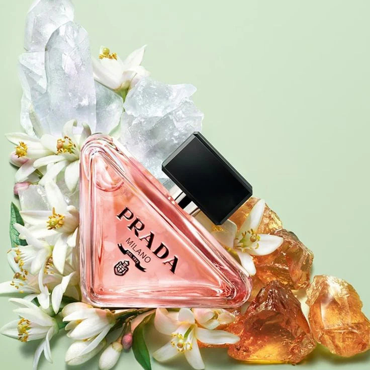 PRADA PARADOXE